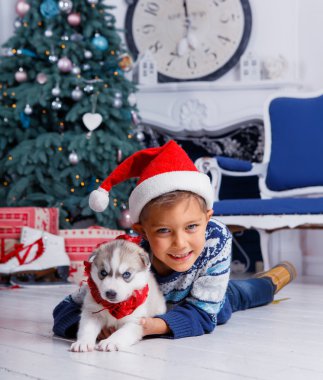 Husky kukla ile oturan küçük yakışıklı çocuk