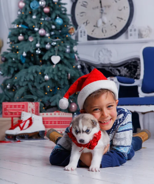 Husky kukla ile oturan küçük yakışıklı çocuk — Stok fotoğraf