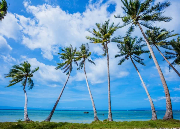 Playa tropical y mar — Foto de Stock