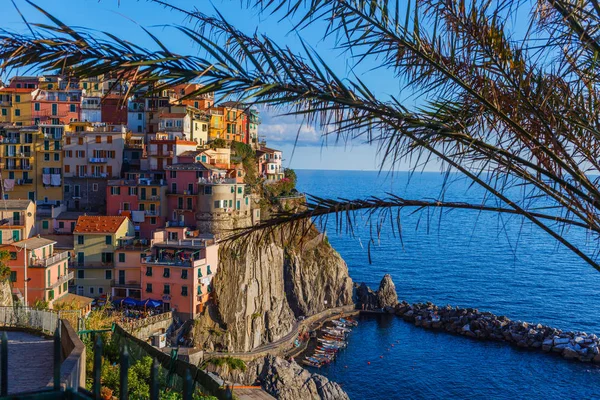 Schöne Aussicht auf Manarola Stadt. ist eines von fünf berühmten farbenfrohen Dörfern des Cinque Terre Nationalparks in Italien. — Stockfoto