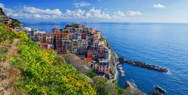Wunderschönes panorama der manarola stadt. ist eines von fünf berühmten farbenfrohen Dörfern des Cinque Terre Nationalparks in Italien. — Stockfoto