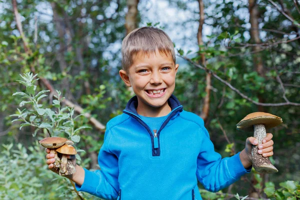 Pojke med vild svamp i skogen — Stockfoto