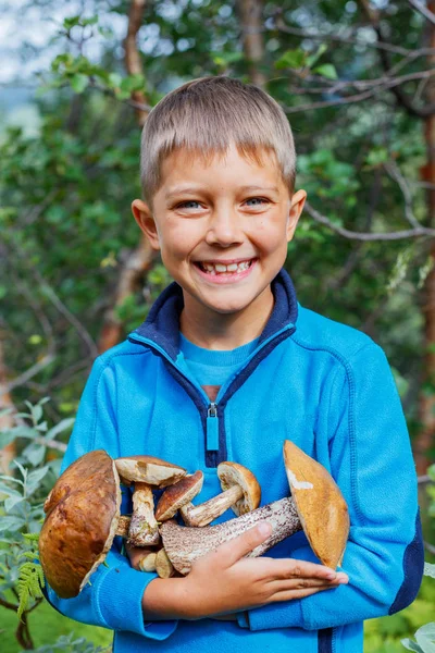 Chlapec s lesními houbami, našli v lese — Stock fotografie