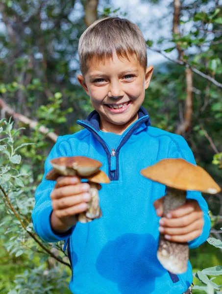 Çocuk ormanda bulunan yabani mantar ile