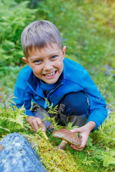 Çocuk ormanda bulunan yabani mantar ile