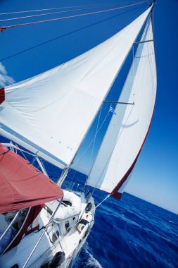 Bir yelkenli yelkenlisi.