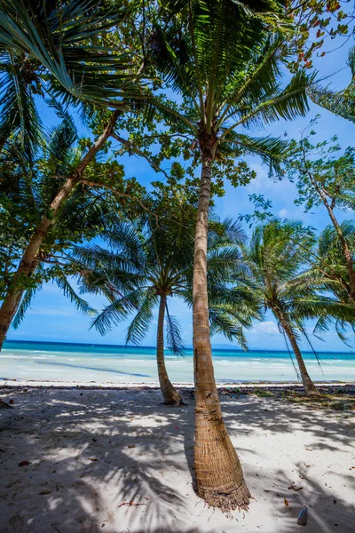 Vista de la bonita playa tropical con palmeras —  Fotos de Stock