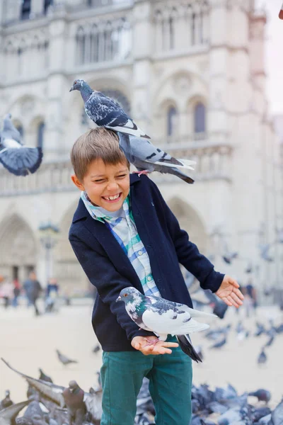 Fiú, madarak, közel a Notre Dame de Paris katedrális, Paris, Franciaország — Stock Fotó