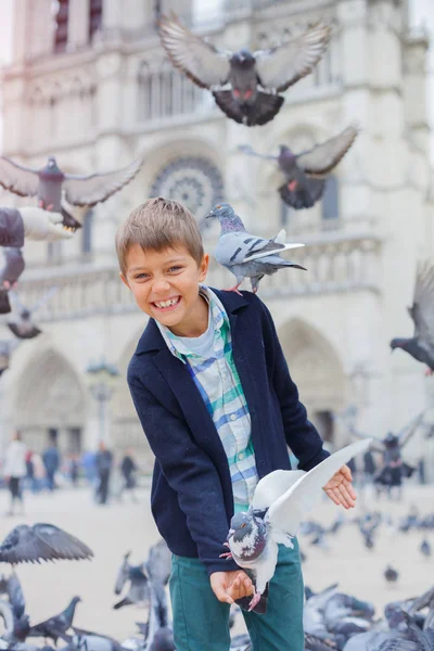 Kuşlar Notre Dame de Paris Katedrali Paris, Fransa'da yakınındaki çocukla