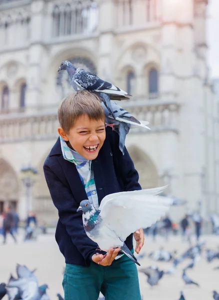 鸟在巴黎，法国的巴黎圣母院大教堂附近的男孩 — 图库照片