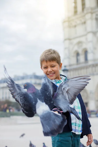 Boy with birds near Notre Dame de Paris cathedral in Paris, France — Stock Photo, Image