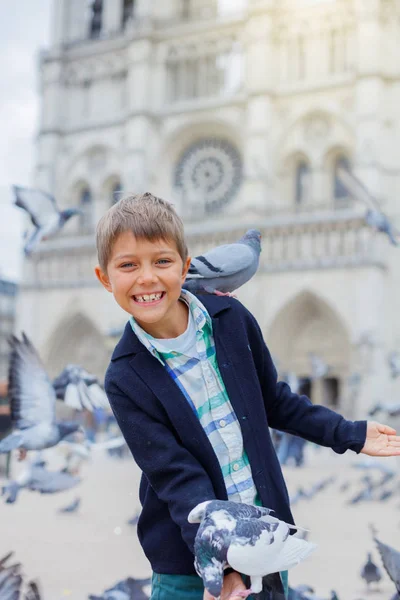 Boy with birds near Notre Dame de Paris cathedral in Paris, France — Stock Photo, Image