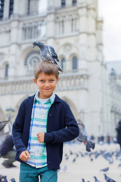 Boy with birds near Notre Dame de Paris cathedral in Paris, France — Stock Photo, Image