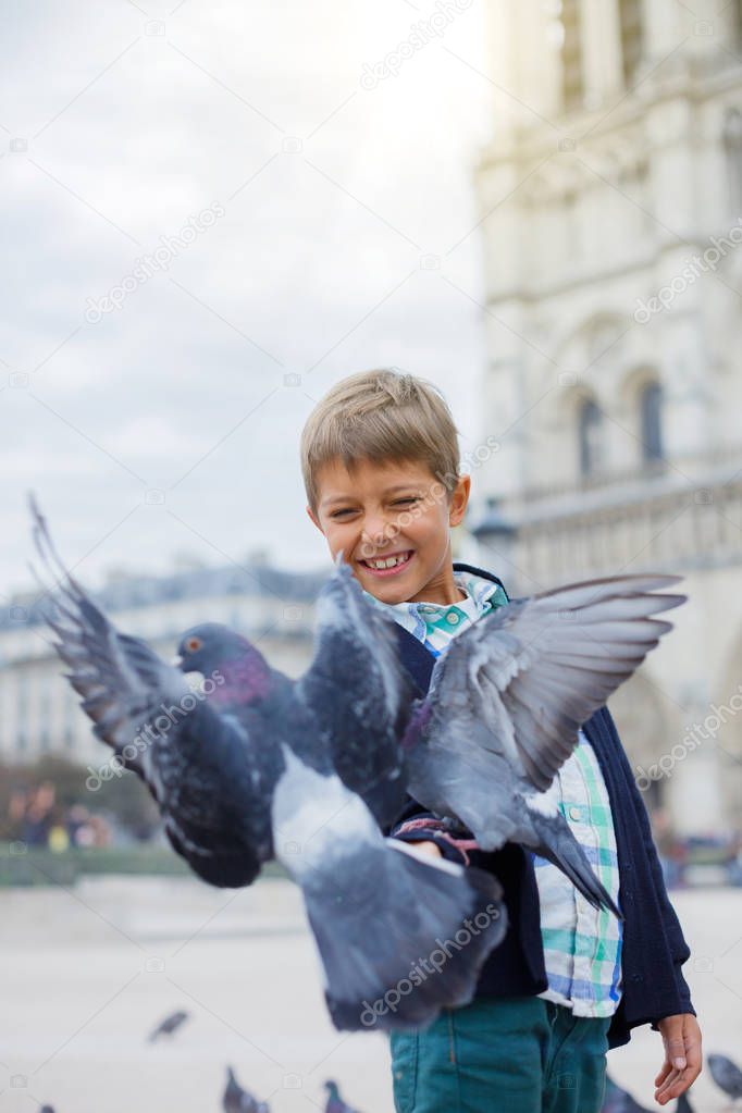 Boy with birds near Notre Dame de Paris cathedral in Paris, France