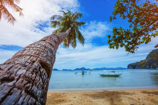 Vue sur belle plage tropicale avec palmiers — Photo