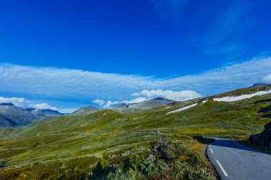 Norveç yol peyzaj