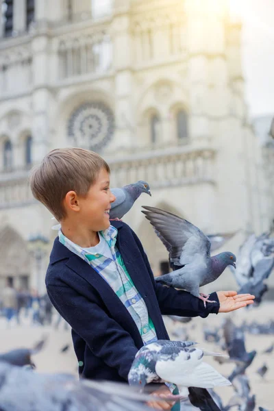Garçon avec des oiseaux près de la cathédrale Notre Dame de Paris à Paris, France — Photo
