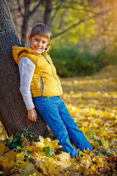 Menino feliz no parque de outono — Fotografia de Stock