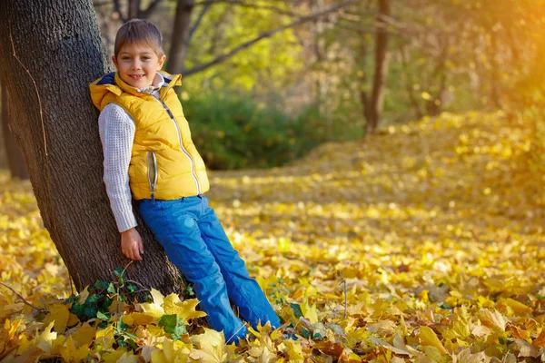 Счастливый мальчик в осеннем парке — стоковое фото