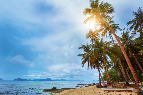 Avuç içi ile güzel tropikal plaj görünümünü — Stok fotoğraf