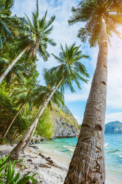 Vista de la bonita playa tropical con palmeras —  Fotos de Stock