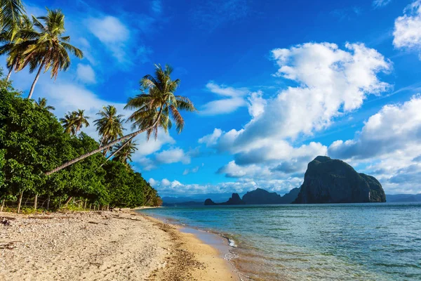 Красивый пляж и тропическое море — стоковое фото