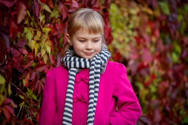 Menina bonito no parque de outono — Fotografia de Stock