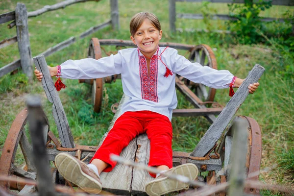 Ragazzino in camicia ucraina ricamata . — Foto Stock