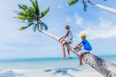 Şirin çocuklar oturur beyaz kum plaj tropikal palmiye ağacı üzerinde