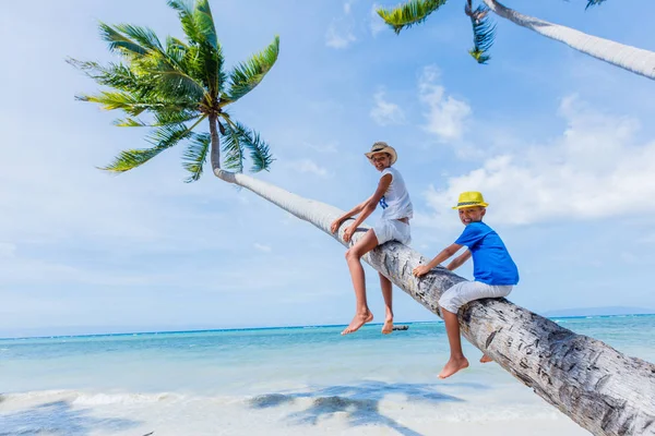 Şirin çocuklar oturur beyaz kum plaj tropikal palmiye ağacı üzerinde