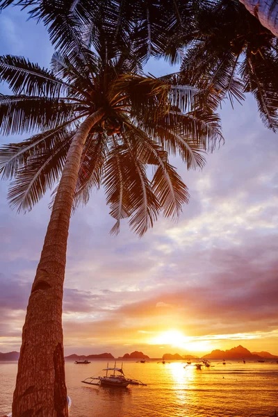 Denize Palms'ta manzaralı güzel gün batımı — Stok fotoğraf