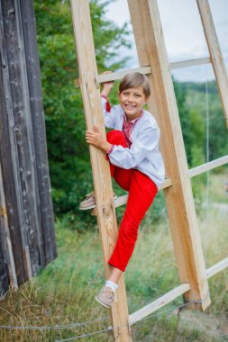 Ukraynalı işlemeli tişörtlü küçük çocuk.