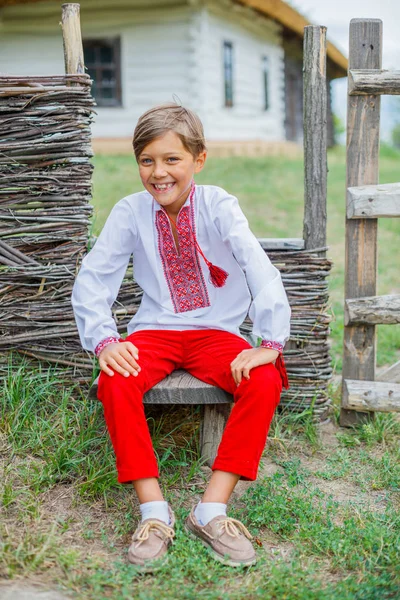 Menino em ucraniano camisa bordada . — Fotografia de Stock