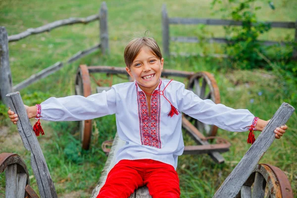Ukraynalı işlemeli tişörtlü küçük çocuk. — Stok fotoğraf