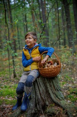 Sevimli çocuk ormanda bulunan yabani mantar ile
