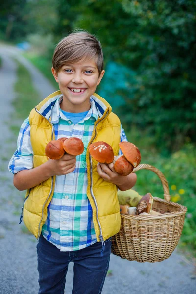 Schattige jongen met wilde paddenstoelen gevonden in het bos — Stockfoto