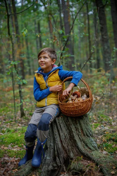 Милый мальчик с дикими грибами найден в лесу — стоковое фото