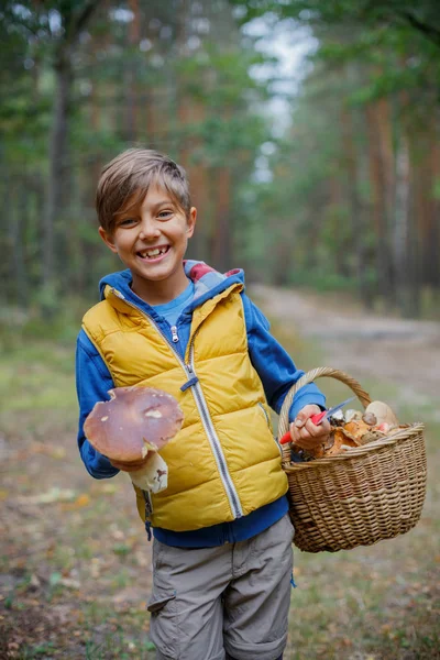 Schattige jongen met wilde paddenstoelen gevonden in het bos — Stockfoto