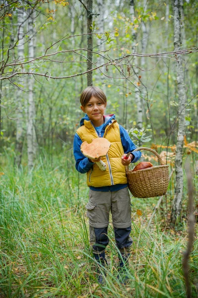 Милый мальчик с дикими грибами найден в лесу — стоковое фото