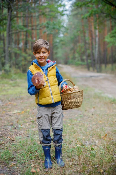 Lindo chico con hongo silvestre encontrado en el bosque —  Fotos de Stock