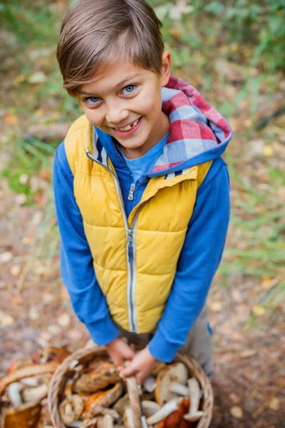 Schattige jongen met wilde paddenstoelen gevonden in het bos — Stockfoto