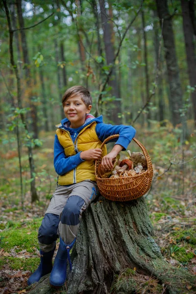 Lindo chico con hongo silvestre encontrado en el bosque —  Fotos de Stock