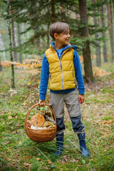 Schattige jongen met wilde paddenstoelen gevonden in het bos — Stockfoto