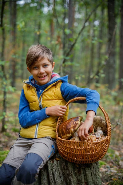 Schattige jongen met wilde paddenstoelen gevonden in het bos — Stockfoto