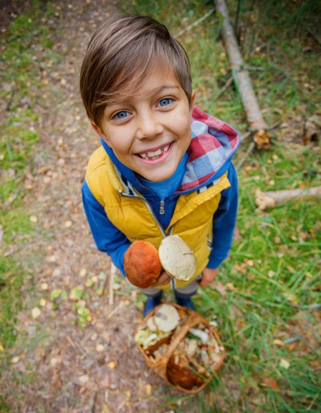 Sevimli çocuk ormanda bulunan yabani mantar ile