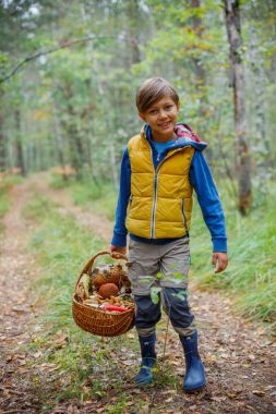 Sevimli çocuk ormanda bulunan yabani mantar ile