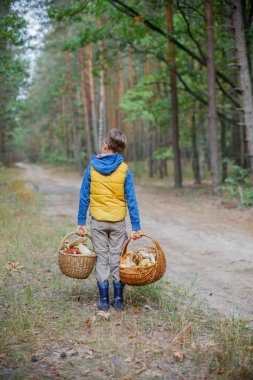 Sevimli çocuk ormanda bulunan yabani mantar ile