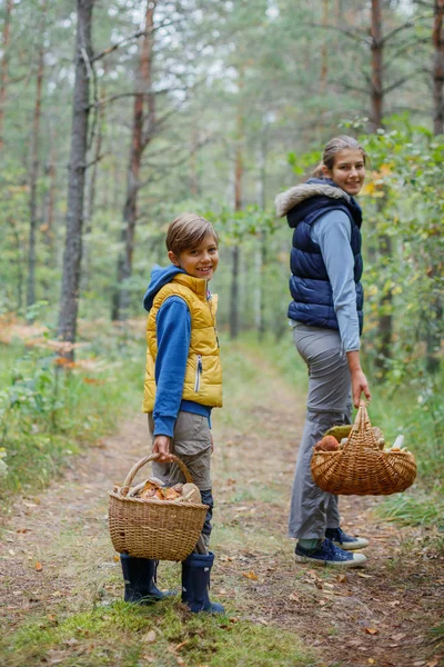 Paddestoelen plukken, seizoen voor paddestoelen - mooie jonge geitjes met geplukte verse eetbare paddestoelen — Stockfoto