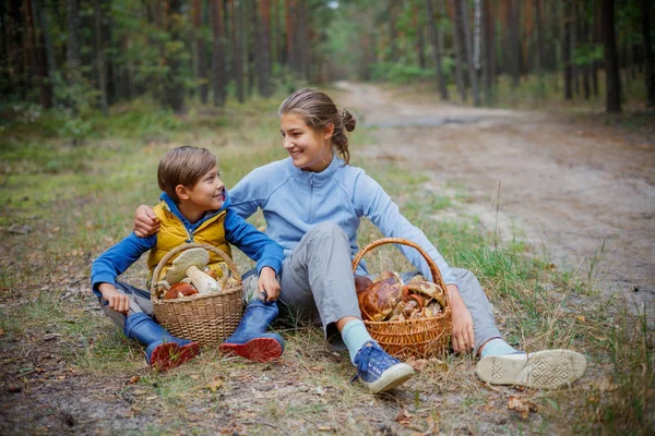 Paddestoelen plukken, seizoen voor paddestoelen - mooie jonge geitjes met geplukte verse eetbare paddestoelen — Stockfoto