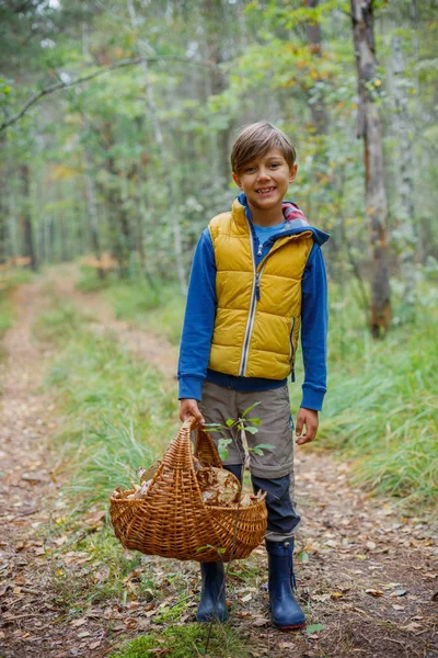 Schattige jongen met wilde paddenstoelen gevonden in het bos — Stockfoto